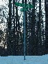 Road Signs